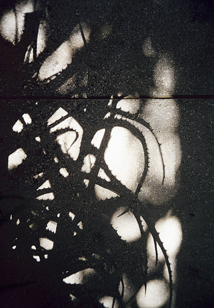 J&oacute; reggelt! 21.