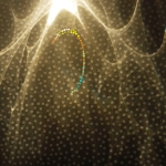 Light experiment - 2015-2016